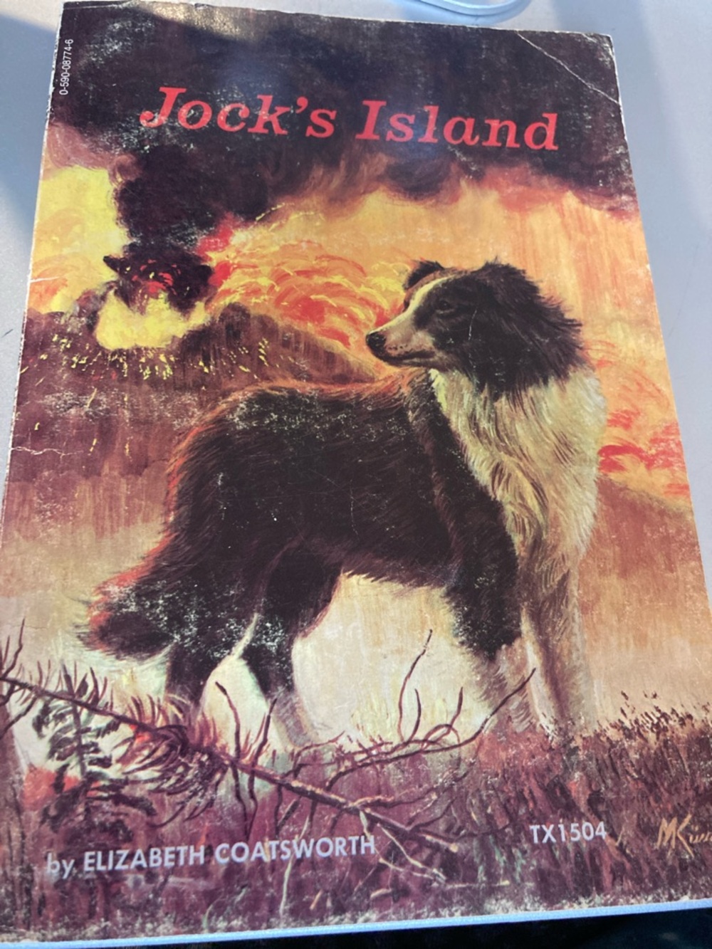 Jock’s island vintage children’s paperback chapter book good condition 1963